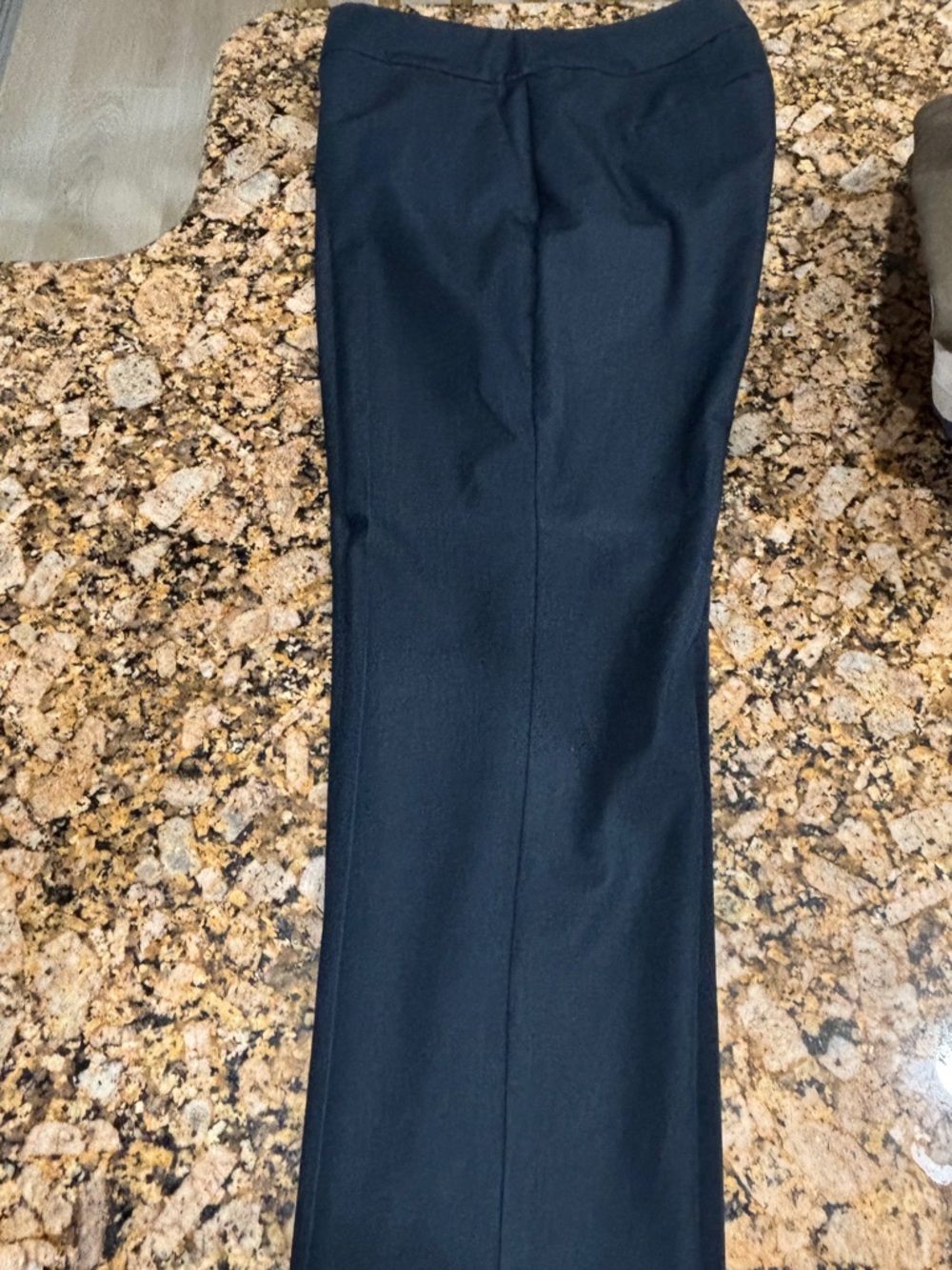 Ann Taylor Factory Navy Dress Pants - Straight Leg